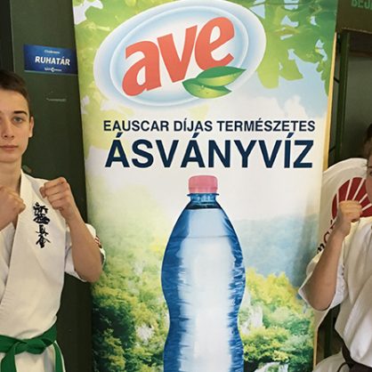 A Karate Diákolimpia debreceni versenyének egyik főszponzora volt az AVE!